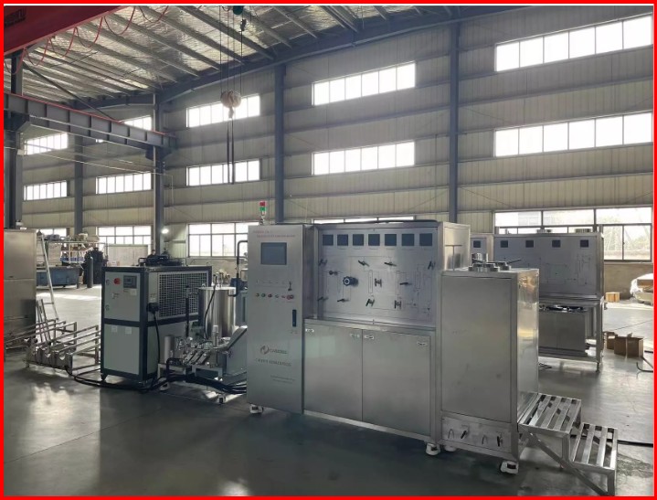 Supercritical CO2 Extraction Machine 30L (15Lx2) Model