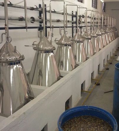 Agarwood Hydro Distillation